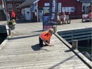 Vedligeholdelse af anløbsbro i havnen i Hamburgsund